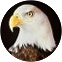 Michel DELBERGUE profile picture